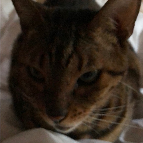 Meet your Posher, Julio - Picture 1 of 1